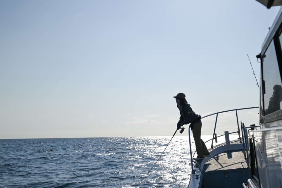 キャスティング